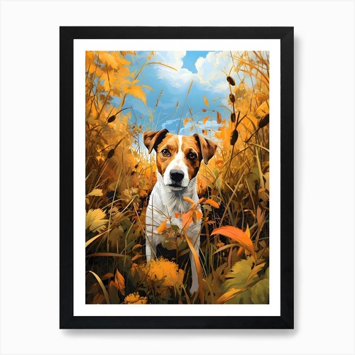Jack russell terrier - russell,