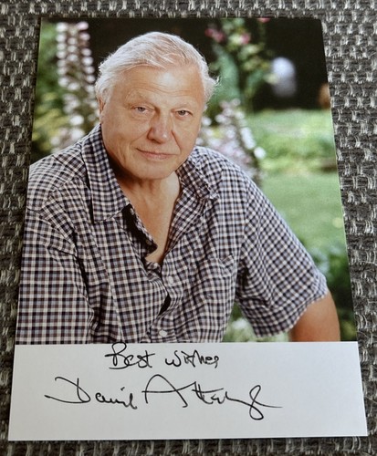 Sir david attenborough hand - sir,