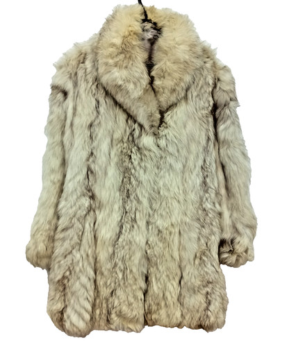 Real arctic fox - arctic, coat