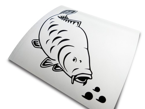 Big kippers feeding mirror - big, 'feeding