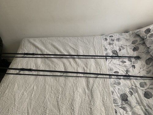 Carp rods with holdall - 2x,