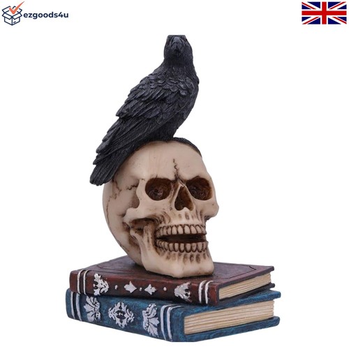 Gothic raven skull figurine - gothic,