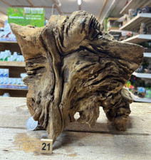 Derwen Oak Bogwood 21-42cm