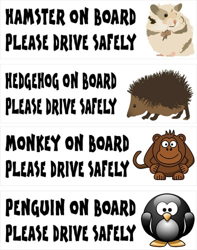 Various board drive - various,