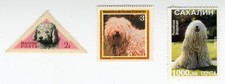 KOMONDOR COLLECTION OF DOG POSTAGE STAMPS FROM VARIOUS COUNTRIES