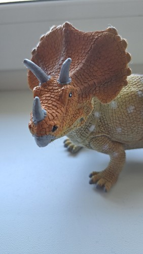 Triceratops dinosaur figure - dinosaur,