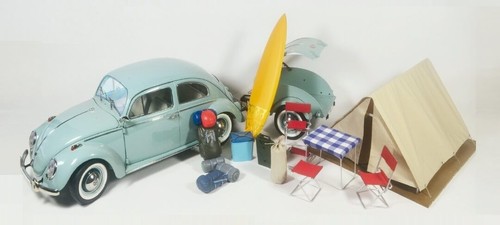 Build scale beetle - scale, +