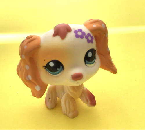 Littlest pet shop - 2010, spotty