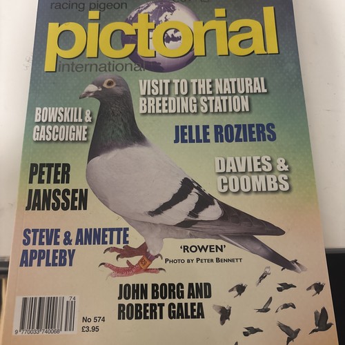 Racing pigeon pictorial - racing,