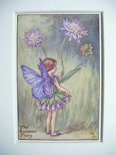The scabious fairy vintage - fairy,