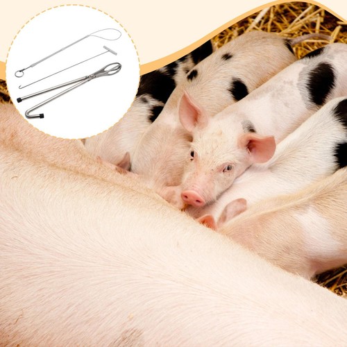 3pcs pig midwifery tools - 3pcs, kit