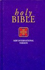 NIV Popular Economy Bible