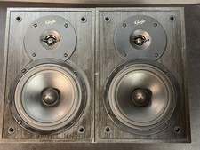 Gale Mini Monitor  2-Way