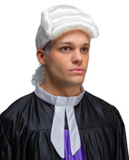 NEW judge's Grey Wig Men's
