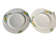 vintage retro Midwinter Floral