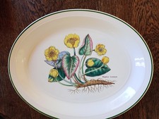 Enoch Wedgwood Florabunda