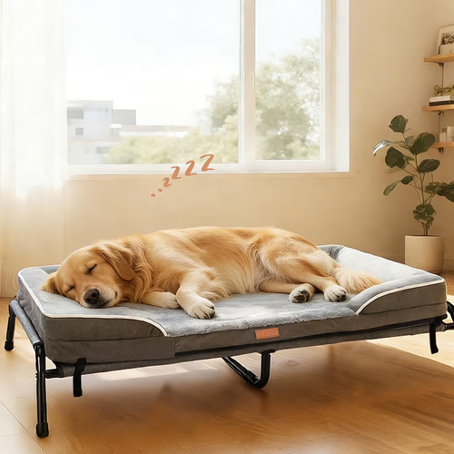 Raised dog bed - bed, large
