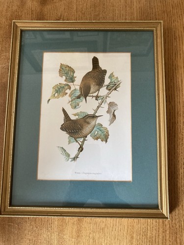 Vintage gilt framed - gilt,
