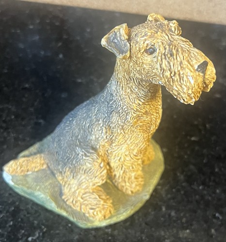 Terrier lakeland welsh - terrier,