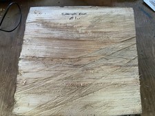 Spalted Elm Bowl Blank Wood