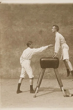 Turners on the pommel horse