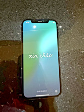 iPhone 12 Pro 256GB Pacific Blue Unlocked immaculate 