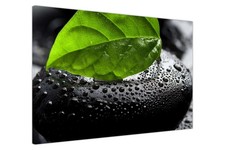 Greenleaf Pebble Canvas Wall