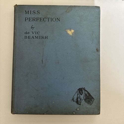 Miss perfection the - miss,