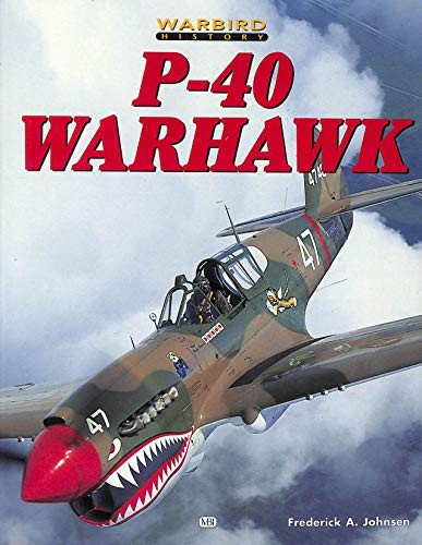 Warhawk warbird - p-40, (warbird
