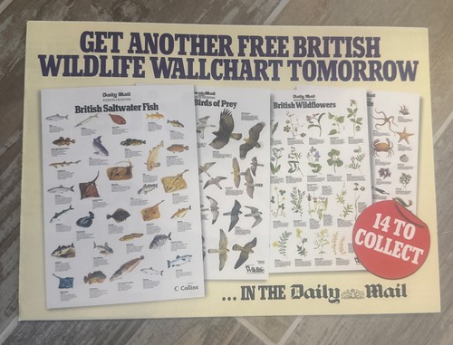 Wildlife wallchart british - wildlife,
