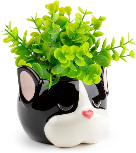 French bulldog head shaped - french,