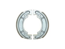Brake Shoes Rear for 1973