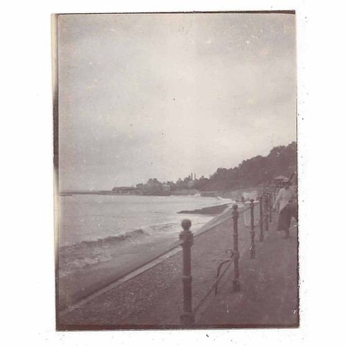 Lyme regis dorset - regis, on