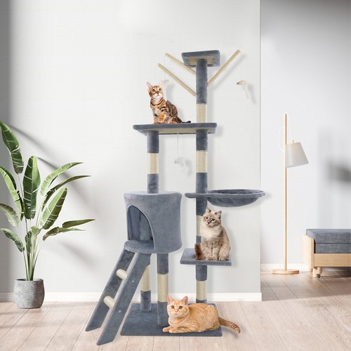 Large cat tree - cat,