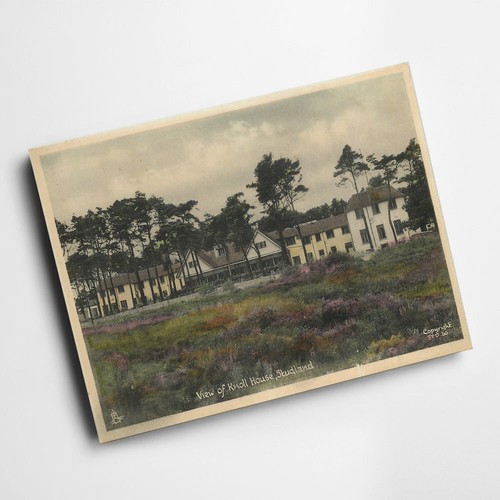 Print vintage dorset - vintage,