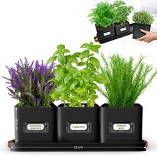 Herb Pots for Kitchen