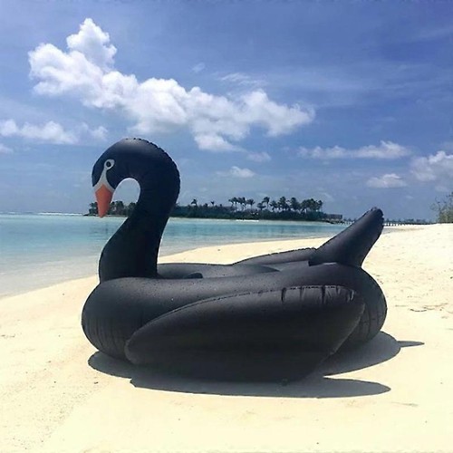 Cool 190cm black swan - black, giant