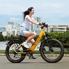 Electric Bike 250W 48V Fat