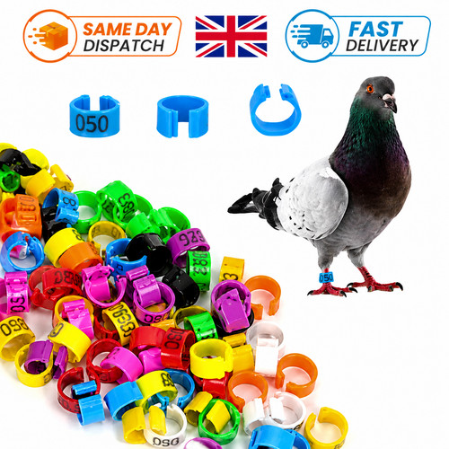 100pcs 8mm bird leg rings - bird,