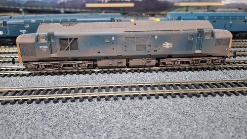 Gauge bachmann class 37 - oo,