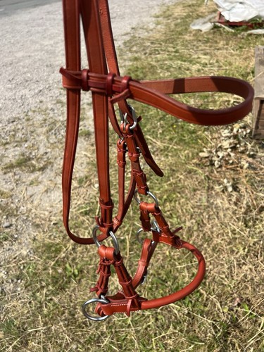 Bit less bridle - bit-less,