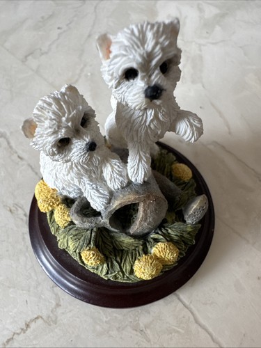 West highland terrier puppies - west,