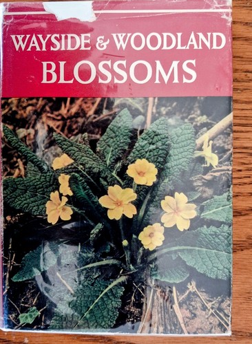 Wayside and woodland - wayside,