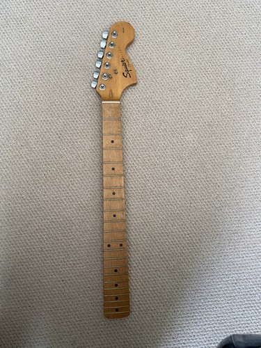 Maple fender squier - maple,