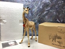 Country Artists Natural World