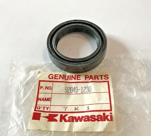 Fork oil - oil,