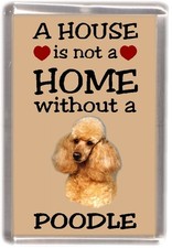 Poodle (Apricot) Dog Fridge