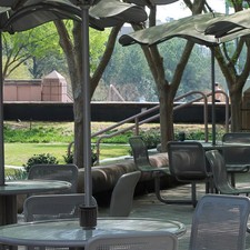  Parasol Pole Replacement