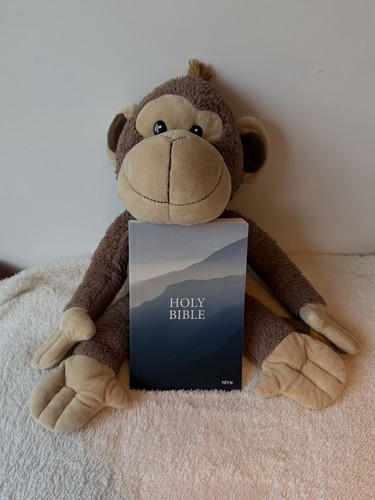 The holy bible new - holy,