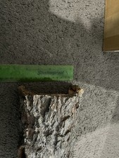 JAVA WOOD DECO NATURALIS